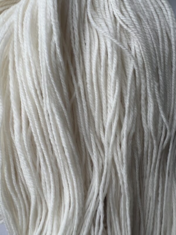 polwarth