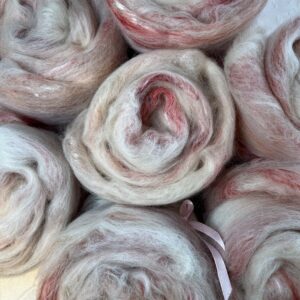 "squishy" berserkjasveppur